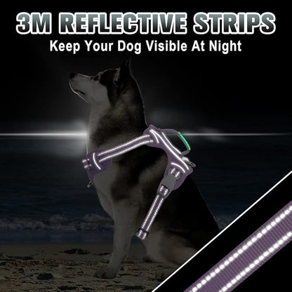 BARKBAY No Pull Dog Harness Large Step in Reflective Dog Harness with Front Clip and Easy Control Handle for Walking Training Running with ID tag Pocket(Violet Purple