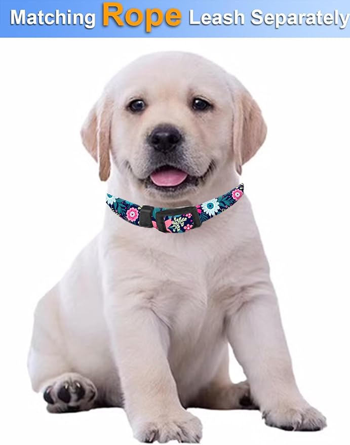 Dog Collar