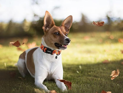 DOGWONG Fall Plaid Cotton Dog Collar, Orange Plaid Halloween Dog Collar Soft Adjustable Gingham Fall Dog Necklace for Small Boy Girl Dog