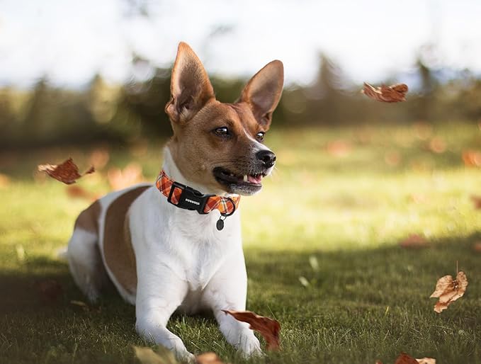 DOGWONG Fall Plaid Cotton Dog Collar, Orange Plaid Halloween Dog Collar Soft Adjustable Gingham Fall Dog Necklace for Large Boy Girl Puppy Dog