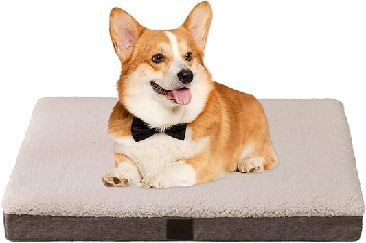 DaysU Dog Bed for Small Dogs 20 lbs, 30x20x3in