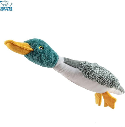 Best Pet Supplies Interactive Mallard Mates Dog Toy with Crinkle and Squeaky Enrichment for Small and Medium Breed, Cute and Plush - 3 Ducks (Mystery Box), Medium