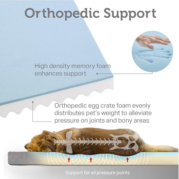 Friends Forever Orthopedic Dog Bed 44x32x3.5