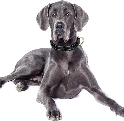 Reflective Dog Collar
