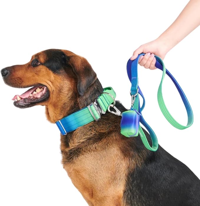 Spark Paws Premium Dog Leash & Poop Bag Set - Heavy-Duty Alloy Hook for Strong Pulling Breeds - Comfortable, Durable & Secure - Lime Wave