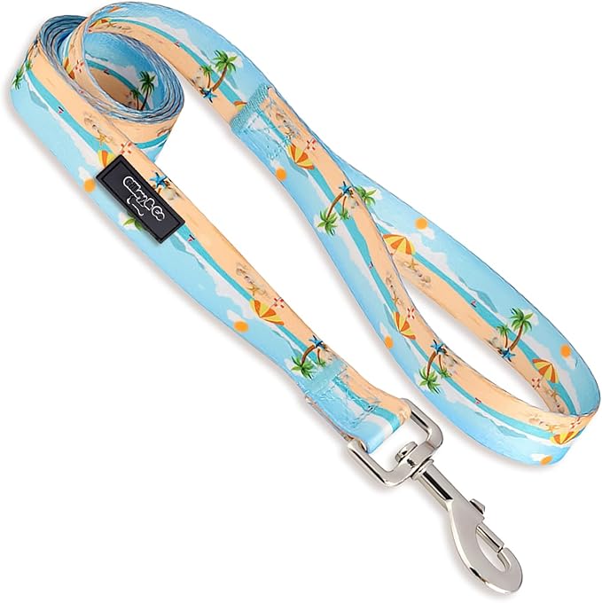 Gilley&Co Dog Collar and Leash Set 8 Designs, 4 Sizes