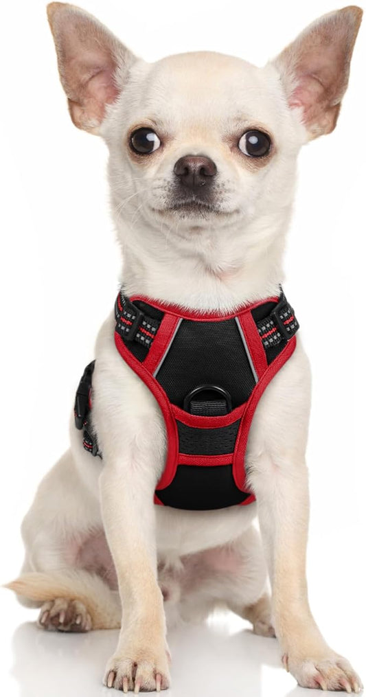 rabbitgoo Dog Harness 2 Leash