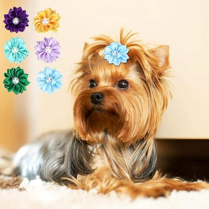 Multiple Colors 30Pcs with Elastic Band