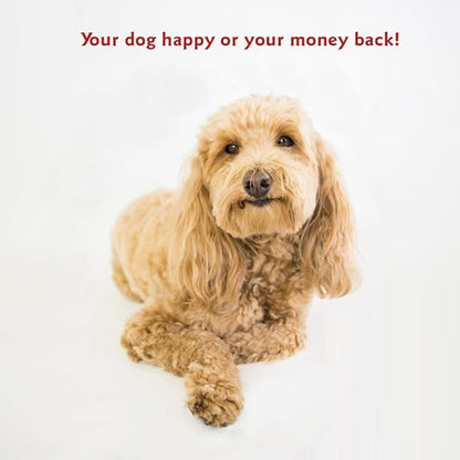 52 inch Navy Villa Collection Sherpa Bagel Dog