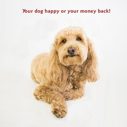 Majestic Pet Rectangle Medium Dog Bed Washable – Non Slip Comfy Pet Bed – Dog Crate Bed with Removable Washable Cover – Dog Kennel Bed for Sleeping 36x29x4 Inch