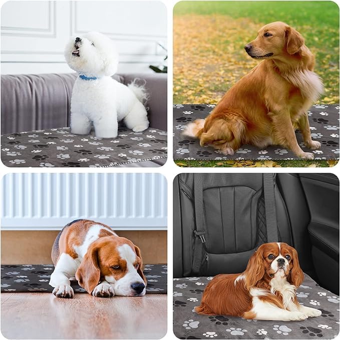 Waterproof Dog Blanket, Pattern Printing Super Soft Warm Fluffy Facecloth Sofa Car Bed Protector, Urine Proof Washable Outdoor Pet Blanket for Puppy Large Dogs & Cats(paw & Bone40*30)