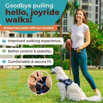 Joyride Harness 2.0 - The Original Side Ring No Pull Dog Harness - No Choke, Escape Proof, Reflective, 3 Leash Clips, Quick Fit Pet Vest - Easy Walks & Training - for Small, Medium & Large Dogs