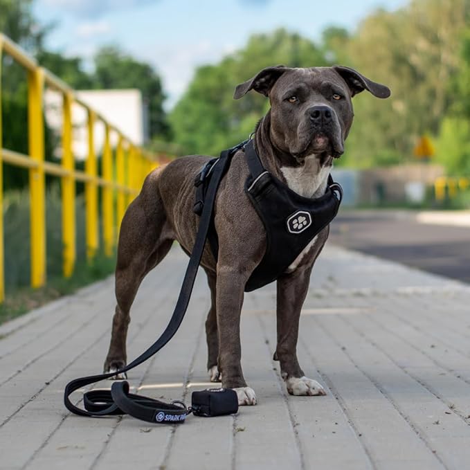 Spark Paws Premium Dog Leash & Poop Bag Set - Heavy-Duty Alloy Hook for Strong Pulling Breeds - Comfortable, Durable & Secure - Black