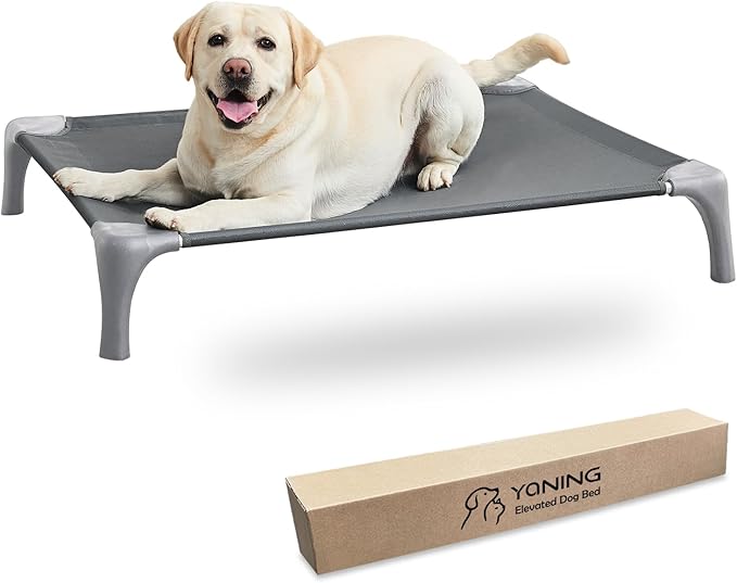Elevated Dog Bed for Large Dogs