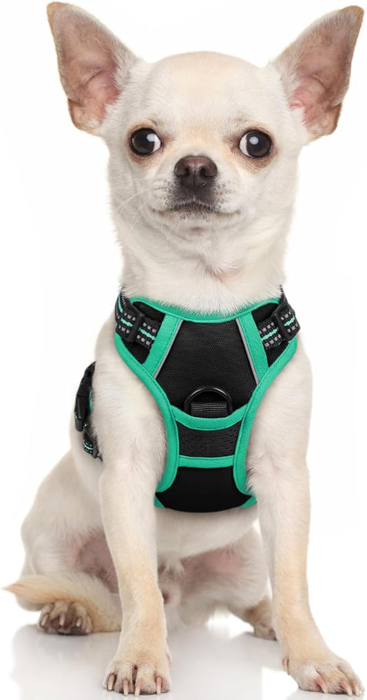 rabbitgoo Dog Harness, No-Pull Pet Harness with 2 Leash Clips, Adjustable Soft Padded Dog Vest, Reflective No-Choke Pet Oxford Vest with Easy Control Handle for Large Dogs, Black & Turquoise, X-Small