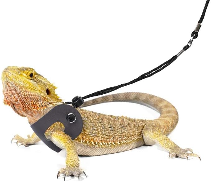 Bearded Dragon Harness and Leash Adjustable(S,M,L, 3 Pack) - Soft Leather Reptile Lizard Leash for Amphibians and Other Small Pet Animals