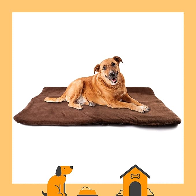 Dog Mat 27.5 x 39.3 in