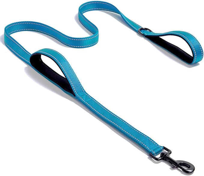 Solmoony 6FT Blue Strong Dog Leash with 2 Padded Handles 6FT)