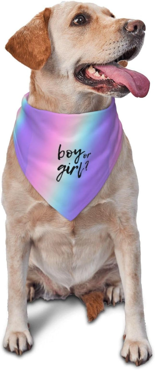 He Or She What Will It Be? Gender Reveal/Baby Announcement Dog Bandana,Pet Neckerchief for Pets Daily Wear Photo Prop Party Supplies (Colorful)