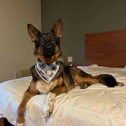 Lionet Paws Dog Bandana Washable Cotton Handkerchief Scarf