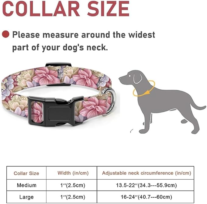 Dog Collar