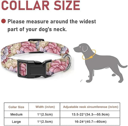 Dog Collar