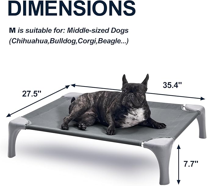 Elevated Dog Bed for Medium Dogs