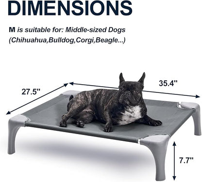 Elevated Dog Bed for Medium Dogs