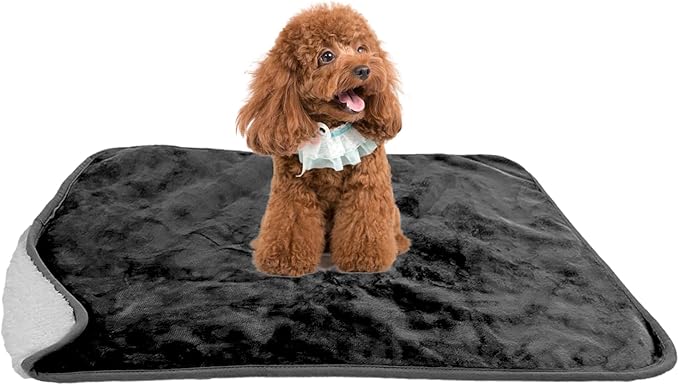 Bucephalus Waterproof Dog Blanket 25"×35")