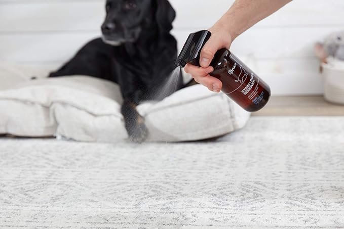 The Spruce Pet Stain & Odor Remover - Plant-Derived Enzyme-Based Cleaner for Dog and Cats Urine, Feces, Vomit, etc. Safe & Effective on Tile, Hardwood, Carpets, and Upholstery - 17 oz