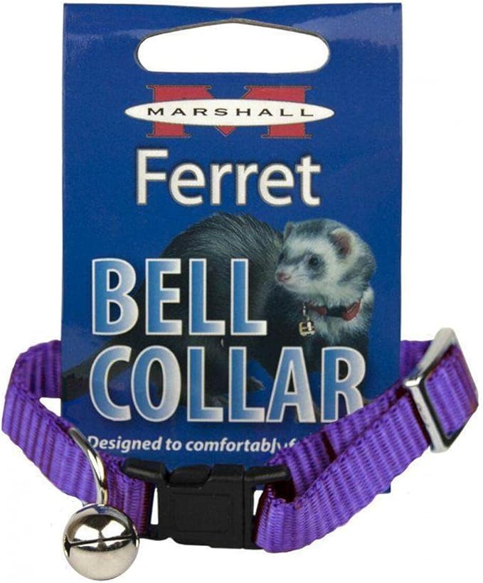 Marshall Pet Products Bell Collar, (Purple)