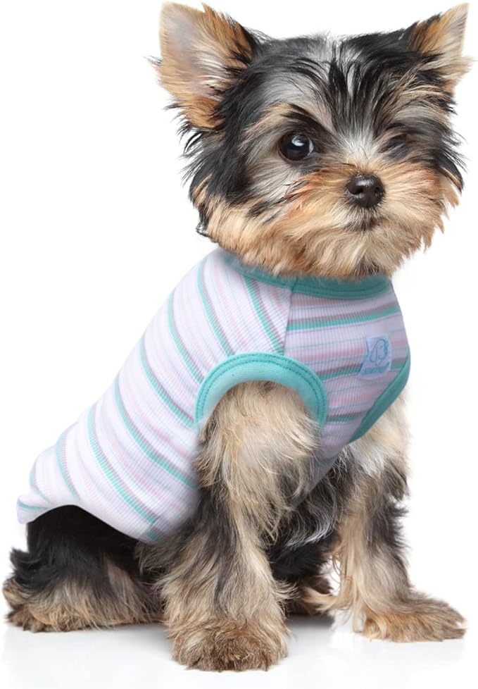 Striped Teacup Pet Dog T-Shirts 100% Cotton 2X-Small
