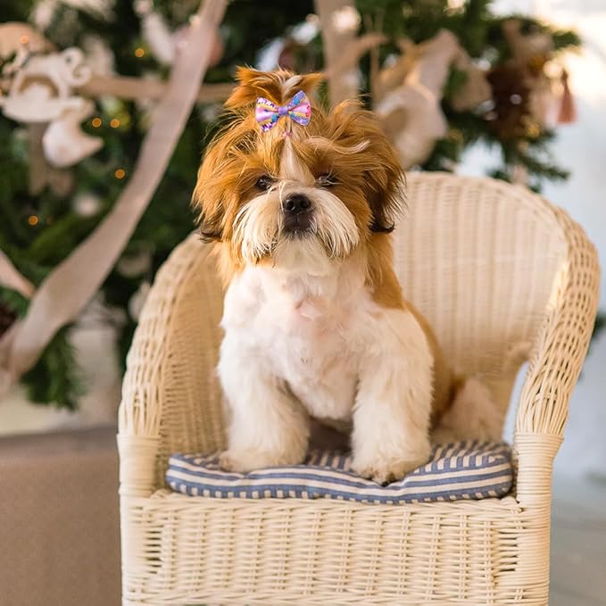 60pcs Dog Hair Bows 30 Beautiful