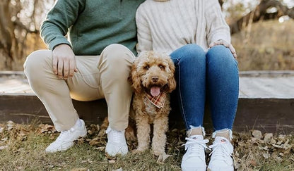 Lionet Paws Fall Dog Bandana Halloween Thanksgiving Day