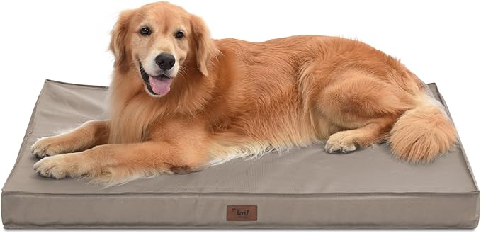Orthopedic Dog Bed for Extra Large Dogs