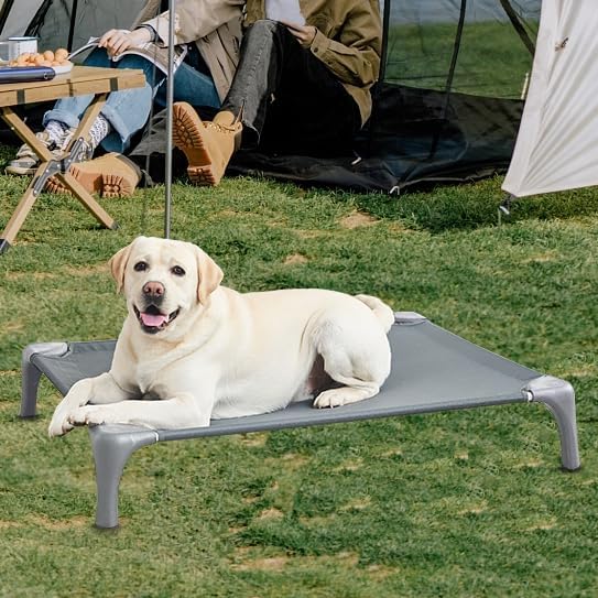 Elevated Dog Bed for Medium Dogs