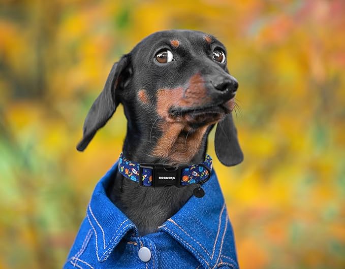 DOGWONG Blue Cotton Dog Collar