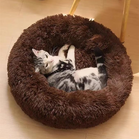 Cat Beds for Indoor Cats