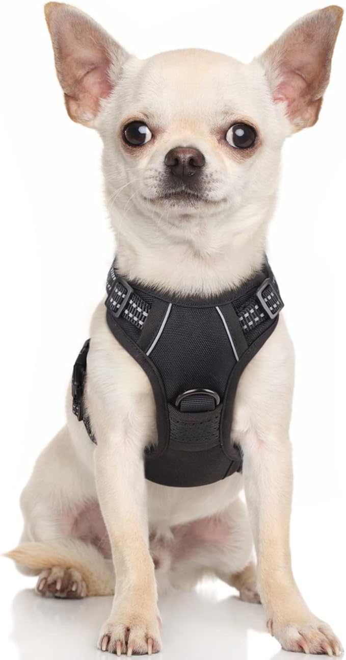 rabbitgoo Dog Harness 2 Leash