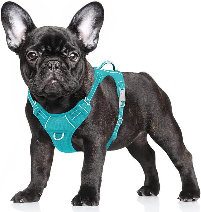 BARKBAY No Pull Dog Harness Large Step in Reflective Dog Harness with Front Clip and Easy Control Handle for Walking Training Running with ID tag Pocket(Ocean Blue,S)