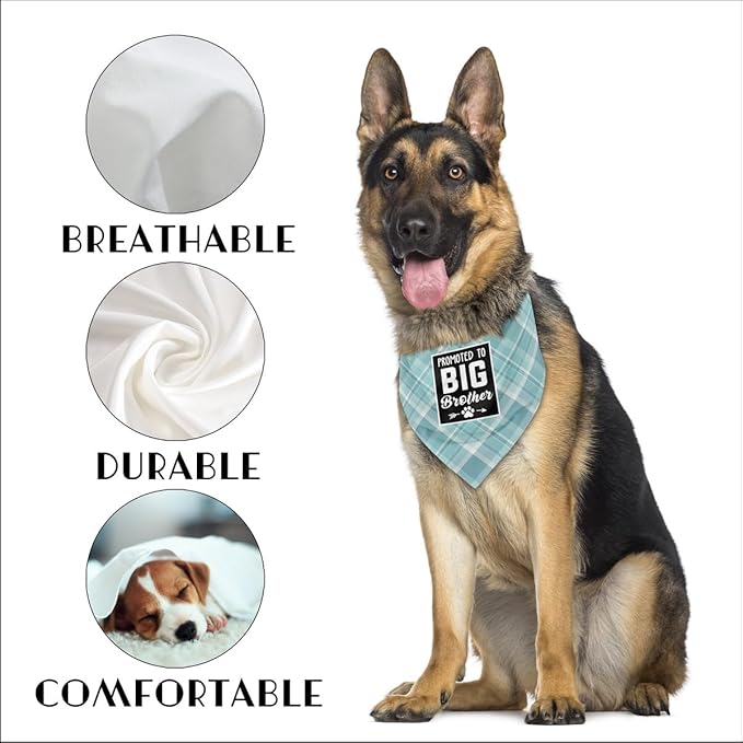 Dog Bandana (B64)