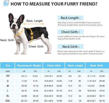 Queenmore Dog Life Jacket Ripstop Dog Shark Safety Vest Adjustable Preserver with High Buoyancy and Durable Rescue Handle for Small