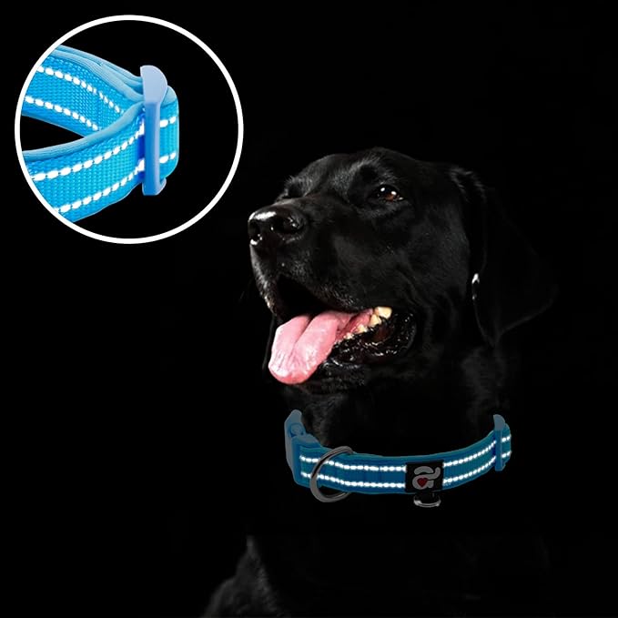 azuza Reflective Dog Collar