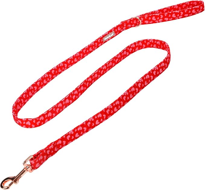 Valentine's Day Dog Leash Durable Handmade Dog Leashes 120cm