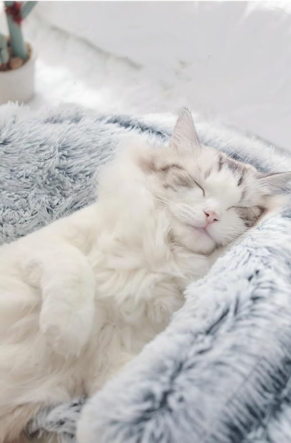 Calming Round Dog Beds &Cat Cave Bed with Hooded Cover 25.6X 25.6inch)