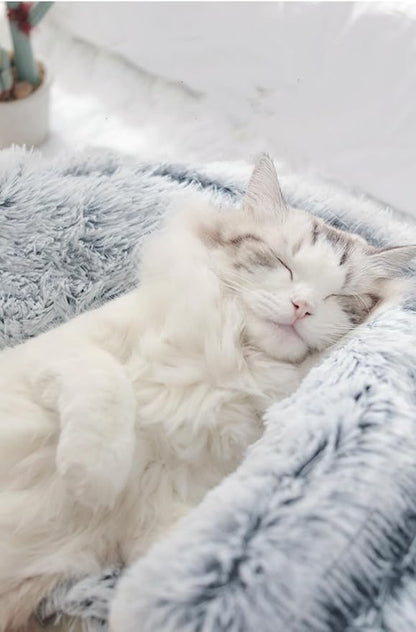 Calming Round Dog Beds &Cat Cave Bed with Hooded Cover 25.6X 25.6inch)