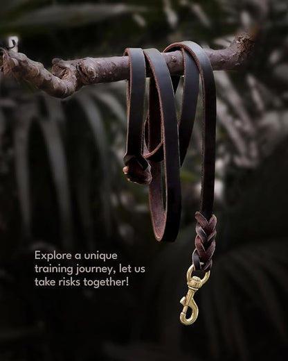 FAIRWIN Braided Leather Dog Leash 6 Foot S:1/2" x 6ft)