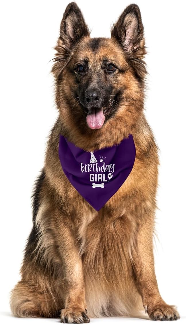 Dog Birthday Bandana (A22)