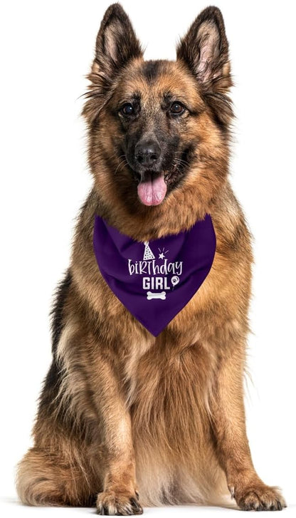 Dog Birthday Bandana (A22)