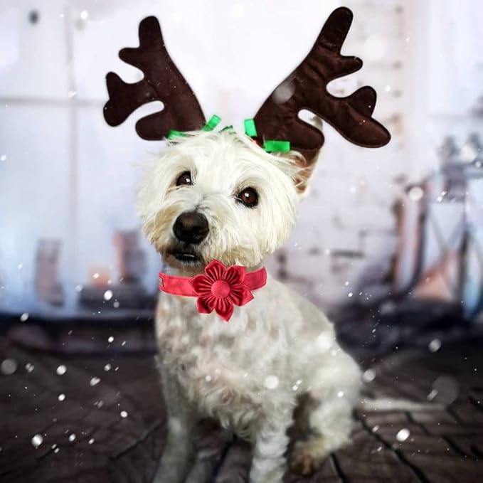 Elegant little tail Christmas Dog Collar